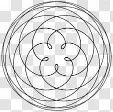 Golden Ratio Face Png Images Transparent Golden Ratio Face Images Golden ratio face mathematics decagon, facial, white, people png. golden ratio face png images