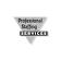 Professional Staffing Services Group Inc. logo