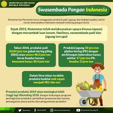Kementerian pertanian republik indonesia memberikan kesempatan kepada warga negara indonesia untuk mengikuti seleksi penerimaan calon pegawai negeri sipil (cpns) yang akan ditugaskan di lingkungan kementerian pertanian. Kementerian Pertanian Ri Auf Twitter Peningkatan Produksi Pertanian Terus Dilakukan Melalui Program Upaya Khusus Upsus Untuk Padi Jagung Kedelai Dan Hortikultura Selain Itu Ada Juga Program Sapi Indukan Wajib Bunting Siwab Pada