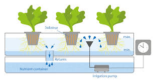 Hydroponic Various Hydroponics Systems