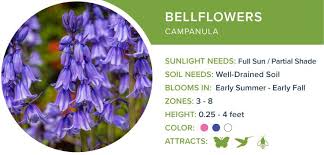 Planting flowers purple plants garden design perennials purple perennials purple garden perennials come in many shades of purple, but i also use various types of lilacs (as shown here). 46 Perennial Flowers To Brighten Your Garden Proflowers