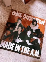 If i could fly 3. One Direction Made In The A M Vinyl Record Preorder Music Media Cds Dvds Other Media On Carousell