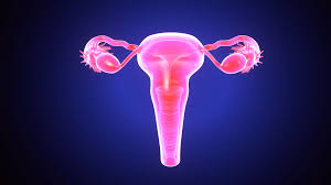 Check spelling or type a new query. What Is A Dermoid Cyst I Developed A Melon Size Cyst After Giving Birth