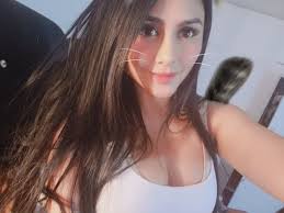 TW Pornstars - 🎀Dayaanna Perez Sosa🎀. Twitter. Que haran hoy? Yo quiero  tomar tequila pero todavia no puedo. 4:50 PM - 22 Feb 2019