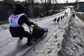 Chugiak musher Kourosh Partow wins Rondy Invitational