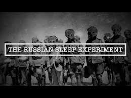نتيجة بحث الصور عن ‪russian sleep experiment photo‬‏