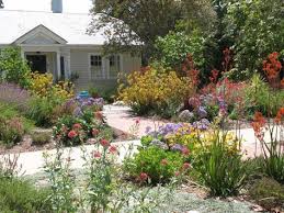 Pin On Low Water Landscaping