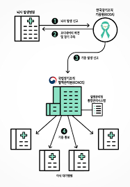 다만 질병관리청 측은 박 의원실에 '지난 24일 누적 기준 광화문 집회 관련 검사자는 3만3681명이며, 이 질병관리청은 지자체에서 질병보건통합관리시스템 등으로 제출한 자료를 집계한 것이라고 했다. í™˜ìƒ ì²« ë²ˆì§¸ ì´ì•¼ê¸°