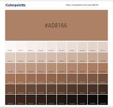 It is the tallest of the three species of camel ; Hex Color Code Ad8166 Pantone 17 1224 Tpx Camel Color Information Hsl Rgb Pantone
