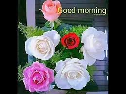 We did not find results for: Good Morning And Good Night Photo Video Youtube