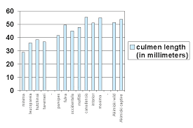 Canada Goose Trillium Size Chart