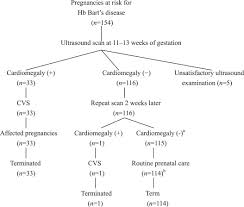 Non Invasive Prenatal Detection Of Haemoglobin Bart S Disease By Cardiothoracic Ratio During The First Trimester European Journal Of Obstetrics And Gynecology And Reproductive Biology