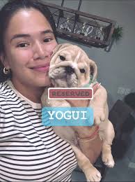 About last night … Perla went to her forever home 🏡 and this incredible  family RESERVED yogui LUNA ❌ BARRY PUPPY 🐶💙 #thanksfortrusting  #englishbulldogcommunity #bulldoglovers #loveatfirstsight