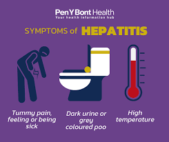 Image result for hepatitis symptoms