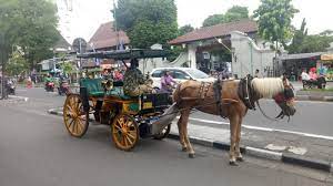 We did not find results for: Mulai Harga Rp 80 Ribu Sudah Bisa Berkeliling Malioboro Dengan Andong Khas Yogyakarta Tribun Jogja