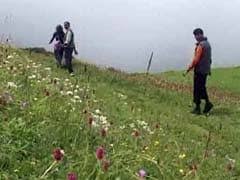 Surrounded by snowcapped himalayan ranges, nubra valley lies between tibet and kashmir. Valley Of Flowers Latest News Photos Videos On Valley Of Flowers Ndtv Com