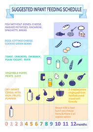 detailed information on baby food infographic babys first foods