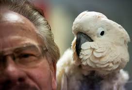 From underground, typewriters rise thanks to man and bird