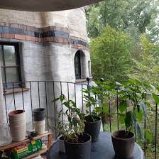 Waldspirale darmstadt (hundertwasserhaus darmstadt) eines der interessantesten und originellsten gebäude in darmstadt ist die waldspirale in darmstadt (hunderwasserhaus darmstadt). 48 Qm 2 Zimmer Wohnung In Der Waldspirale Wohnung In Darmstadt Darmstadt