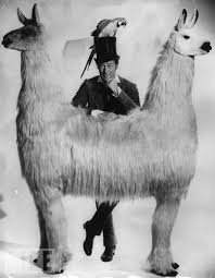 Push Me Pull You Dr Dolittle Animals Movies