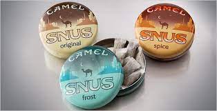 Always dispose of used snus in a trash can. No Smoke No Foul Critics Disagree The New York Times