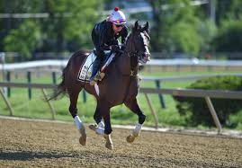 How to bet the 144th Preakness: Liam Durbin handicaps the second leg of the  Triple Crown