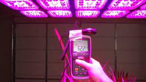How to choose a grow light. How To Choose Led Grow Lights Eneltec Group