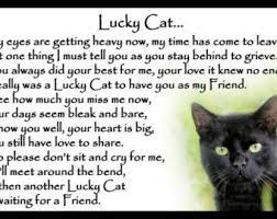 Check spelling or type a new query. Cat Funeral Poems