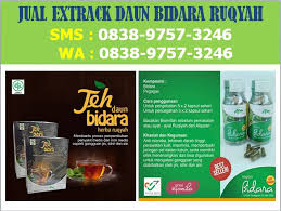 Manfaat teh daun bidara tersebut tidak lepas dari kandungan antioksidan yang ada di dalamnya. Hp 0838 9757 3246 Jual Bibit Teh Sabun Minyak Daun Bidara Di Kota Agung Jual Bibit Teh Sabun Minyak Daun Bidara Di Kotabumi By Kios Daun Bidara Medium