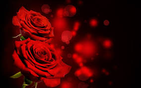 Red and black flowers wallpaper. Red And Black Floral Textile Flowers Rose Red Flowers Bokeh Hd Wallpaper Wallpaper Flare