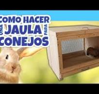 Como hacer jaula para conejos - YouTube
