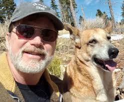 Paws Unleashed, Dog Training and Rehabilitation