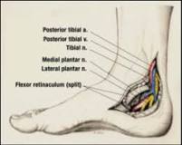 Image result for icd 10 code for left tarsal tunnel syndrome