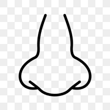 Vector Nose Icon Nose Clipart Black And White Nose Icons Nose Png And Vector With Transparent Background For Free Download Clipart Black And White Vector Icon Design Vector