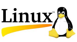 Engadget Reporting That Chromebooks Will Soon Be Able To Run Linux Apps Linux Hosting Company Web Hosting Services