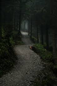Mystischer Weg Mystischer Wald Bilder Dunklen Wald