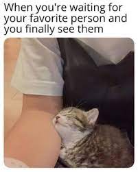 Find what you're good at and be proud of it! 27 Wholesome Memes That Prove The Internet Isn T All Bad Best Life