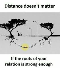 Distance Doesn T Matter If The Roots Of Your Relation Is Strong Enough Picture Quotes True Love Quotes Friends Quotes