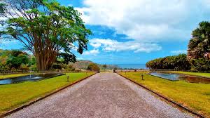 Rising 19 stories above broadway at 32nd street, the martinique is listed on the register of historic hotels of america, and blends french renaissance and art deco style for a unique stay. Reisebericht Martinique Die Bananen Und Rum Insel Fur Individualreisende My Travelworld