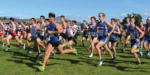 Rogue XC