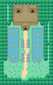 Aura sphere is lucario's best charge move by far. Ancient Ruins The Pokemon Insurgence Wiki
