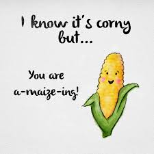 I Know It S Corny But You Are A Maize Ing Cheesy Puns Funny Puns Cheesy Valentine