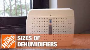 Everyday low prices and amazing selection. Best Dehumidifiers For Your Home The Home Depot