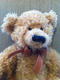 His Current Best Friend Teddy Bear Teddy Best Friends