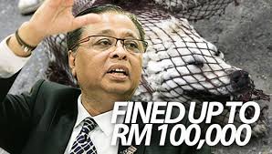 Sabah and sarawak, which have their own state laws, have agreed. 9 Winning Points You Should Know About Malaysia S New Animal Welfare Bill