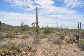7350 w bell rd, 4.8 km. 6660 W Wasson Vista Dr W Tucson Az 85745 Mls 21713564 Redfin