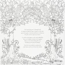 Also, tell us which image is her favorite from this series in the comments box below. Enchanted Forest An Inky Quest Coloring Book Adult Coloring Book Club