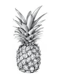 Pineapple Art Print By Sibling Co Pineapple Art Pineapple Art Print Pineapple Tattoo