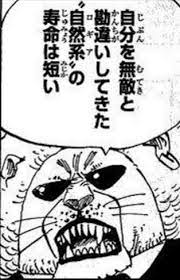 ワンピース なんで覇気でた後から自然系がハズレ扱いなんか意味不やｗｗｗｗｗｗｗｗｗｗｗｗｗｗｗｗ jump ジャンプ 速報 ガープ 結婚式 ブーケ シンプル 面白い言葉