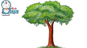 How To Draw A Mango Tree Step By Step Youtube How to draw mango tree ll mango tree drawing ll easy mango tree drawing for kids and beginners. how to draw a mango tree step by step